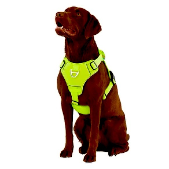 arcadia trail Dog Arcadia Trail Neoprene Dog Harness Poshmark